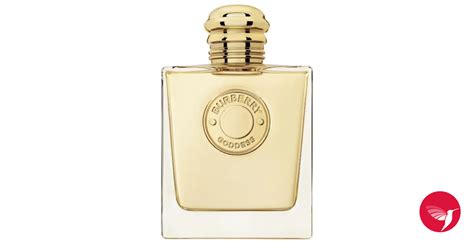 burberry perfume goddess notes|Burberry goddess perfume 50ml.